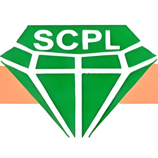 Bronze Partners